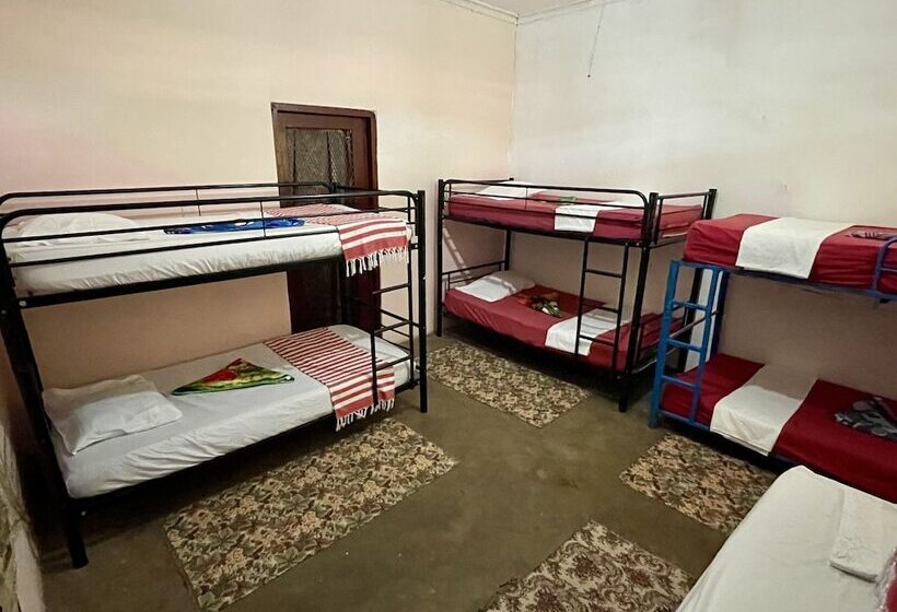 膳宿费 Voyager Int L Hostel Panama La Villa