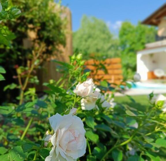 펜션 Picnic Room And Pool