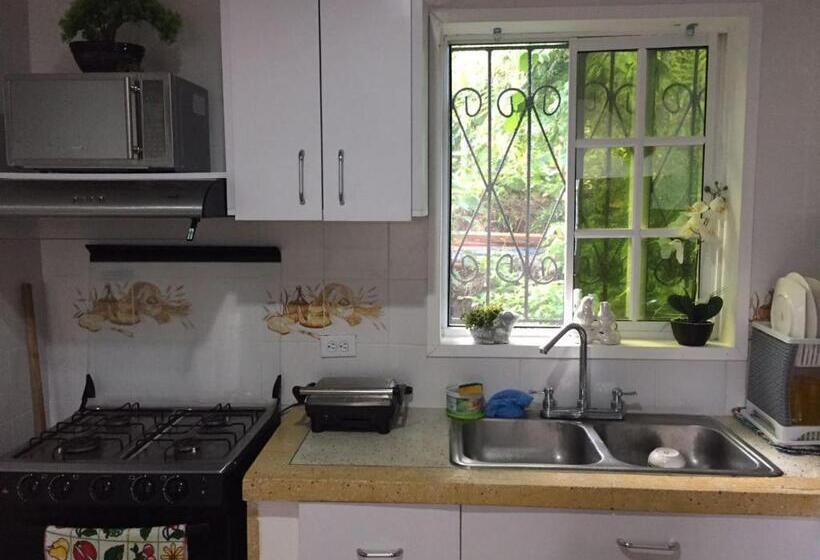 ユースホステル Casa D  Linda