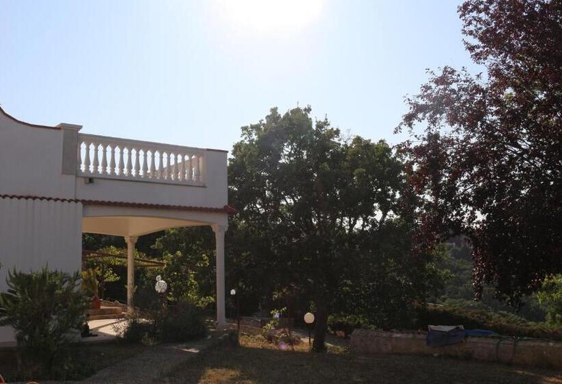 B&b Belvedere