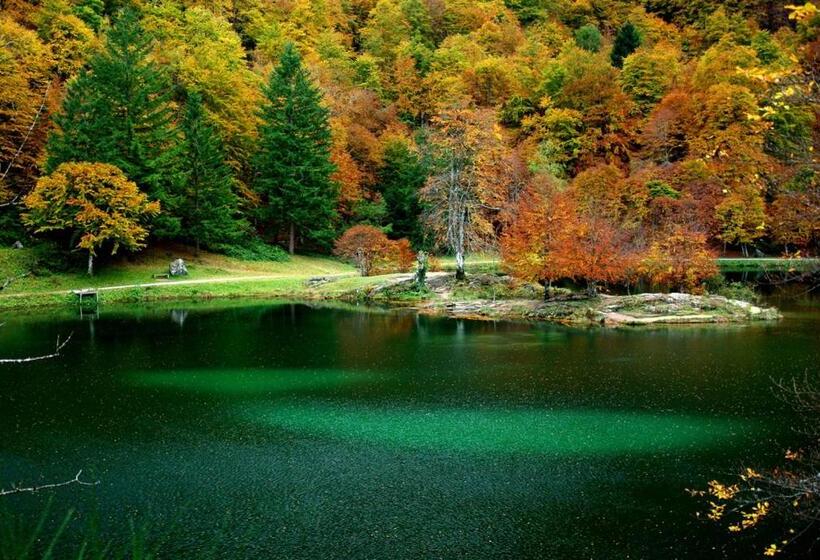 Bed and Breakfast L échappée Belle