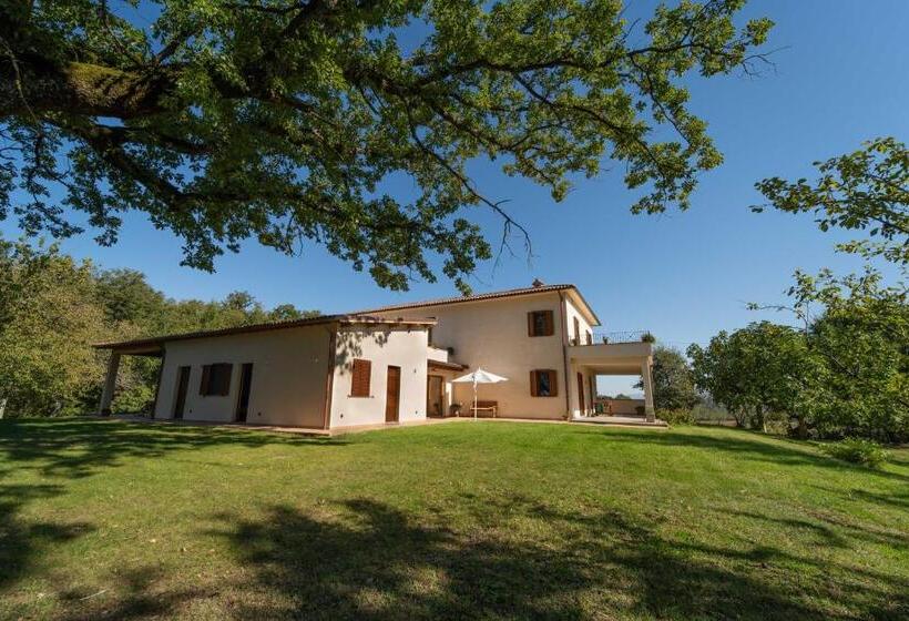 Bed and Breakfast Poggio Delle Ginestre