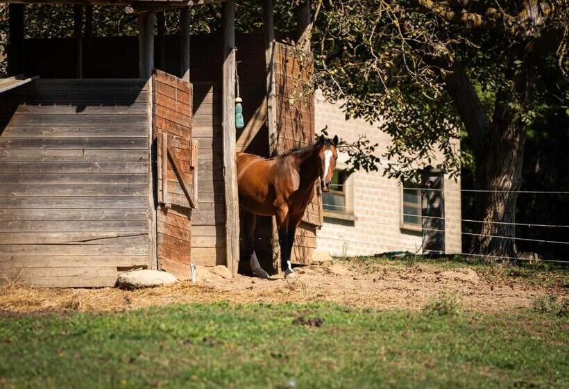 Bed and Breakfast Poggio Delle Ginestre