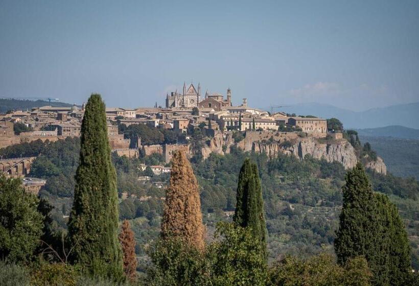 Bed and Breakfast Poggio Delle Ginestre
