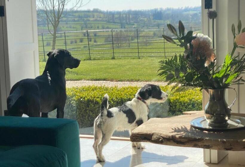 مبيت وإفطار Stunning  Room With A View