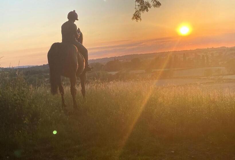 مبيت وإفطار Stunning  Room With A View