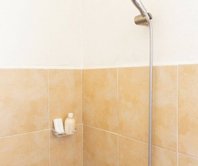 住宿加早餐 Suites Apodaca