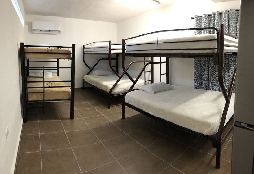 住宿加早餐 Suites Apodaca