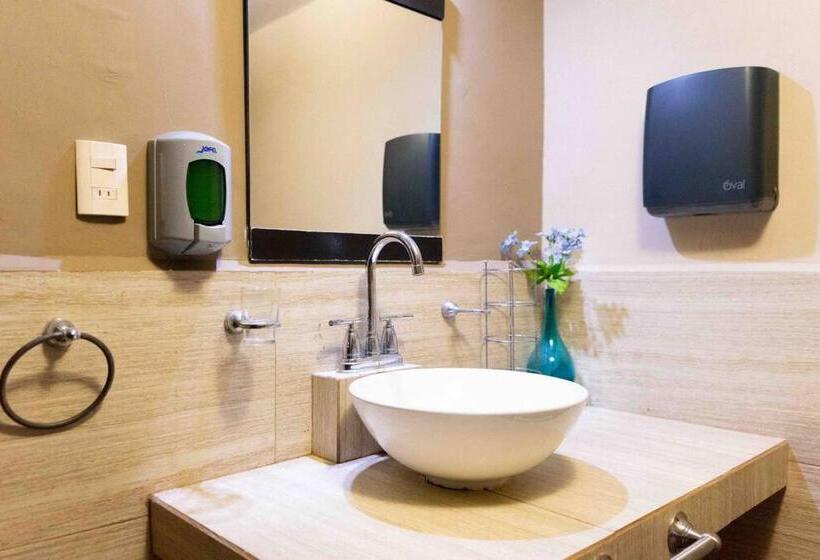 住宿加早餐 Suites Apodaca