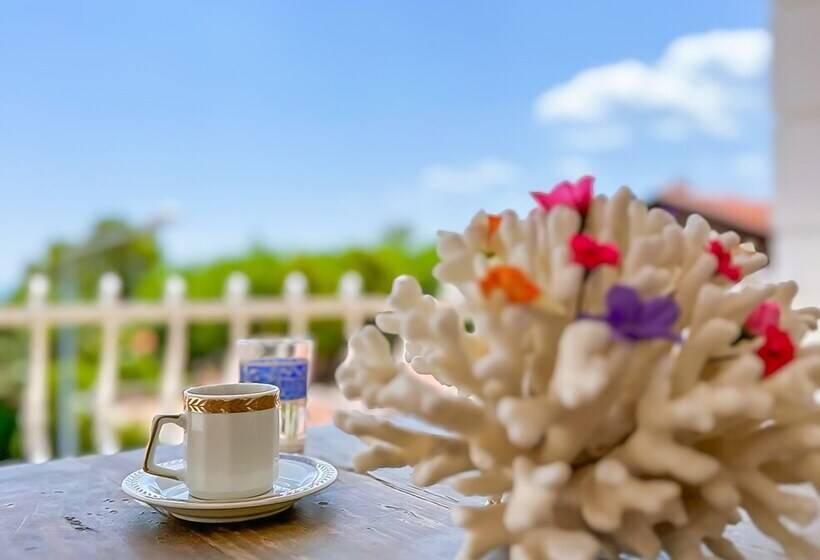 Abelia Otel
