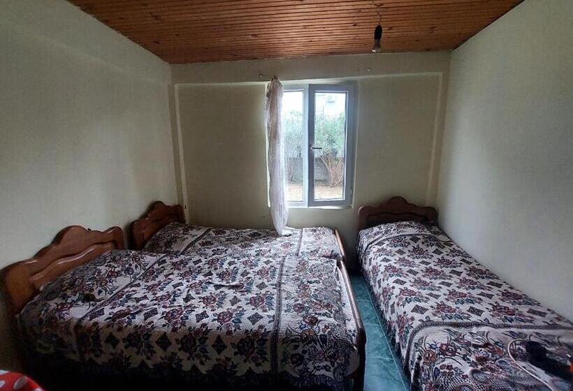 هتل Guest House Bee