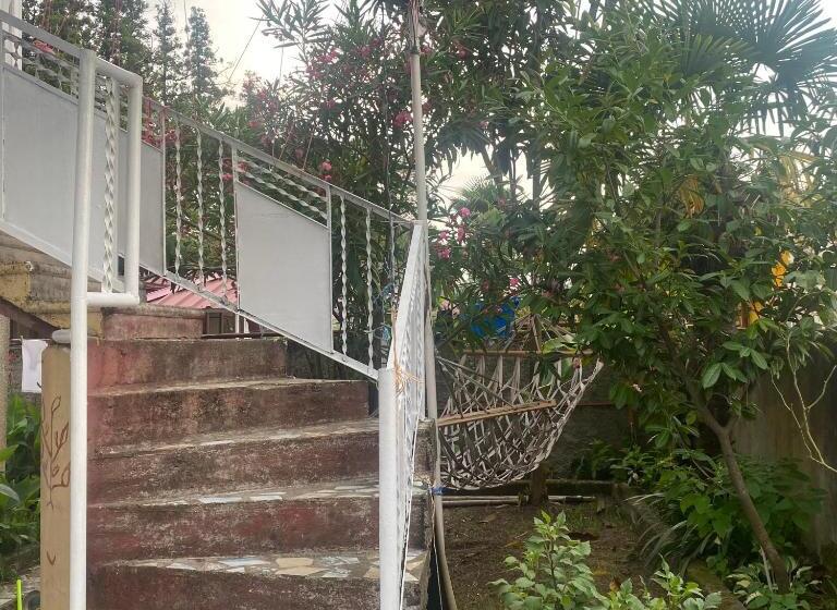 هتل Guest House Bee