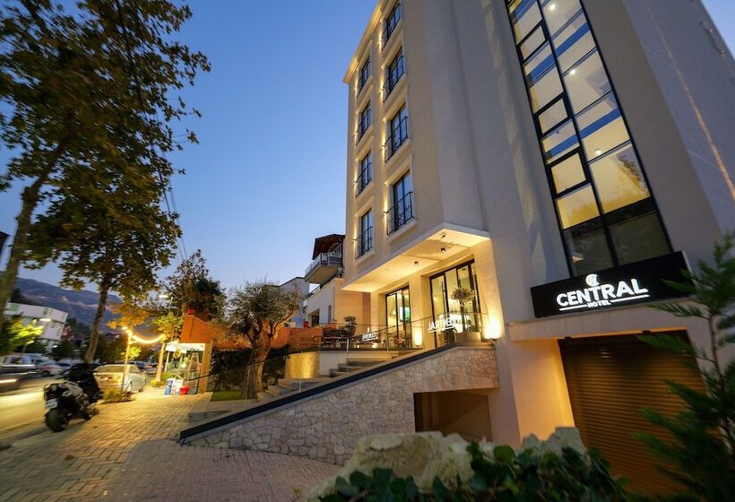 בית מלון כפרי Central