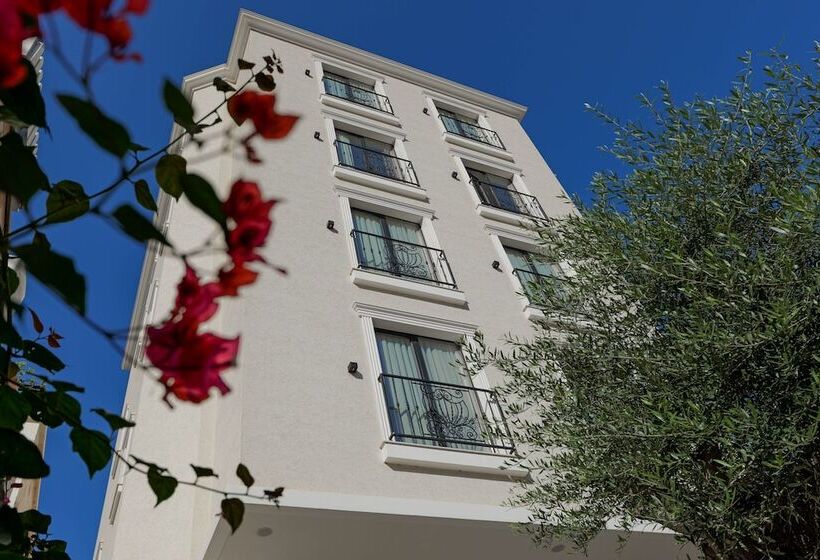 בית מלון כפרי Central