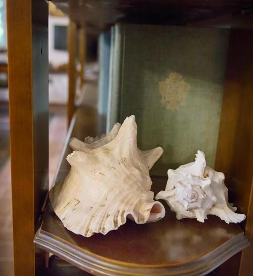 酒店 Don Carlo Agriturismo Di Charme Bio