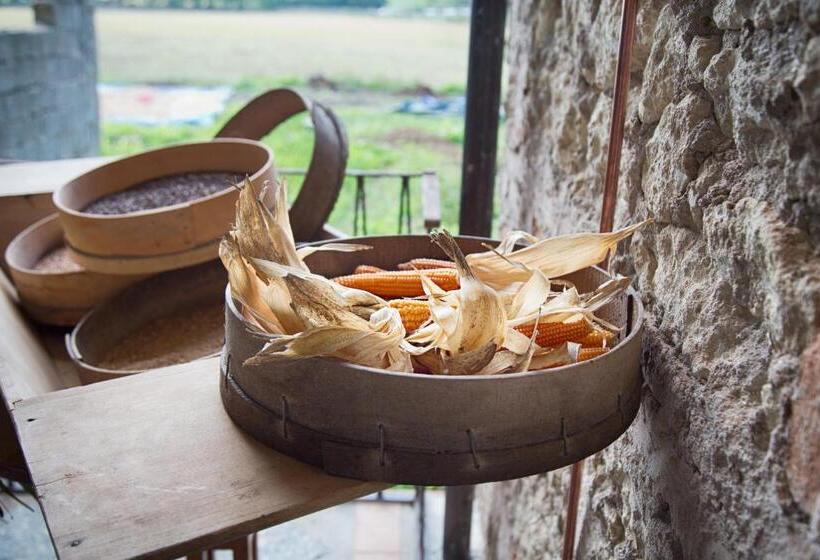 酒店 Don Carlo Agriturismo Di Charme Bio