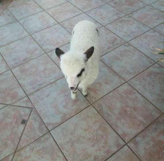 فندق Paradise View