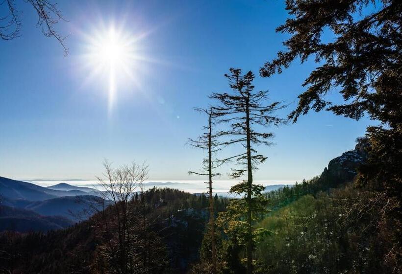 בית מלון כפרי Zana Vaii