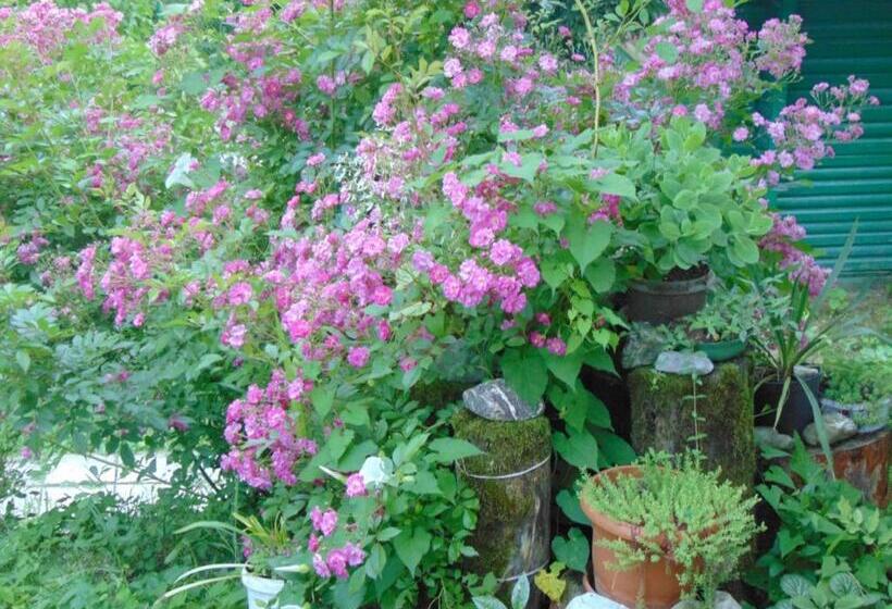 Nunisi Forest Hotel & Spa