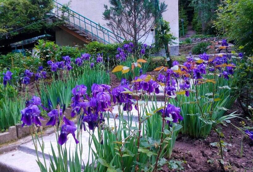 Nunisi Forest Hotel & Spa