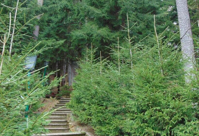 Nunisi Forest Hotel & Spa