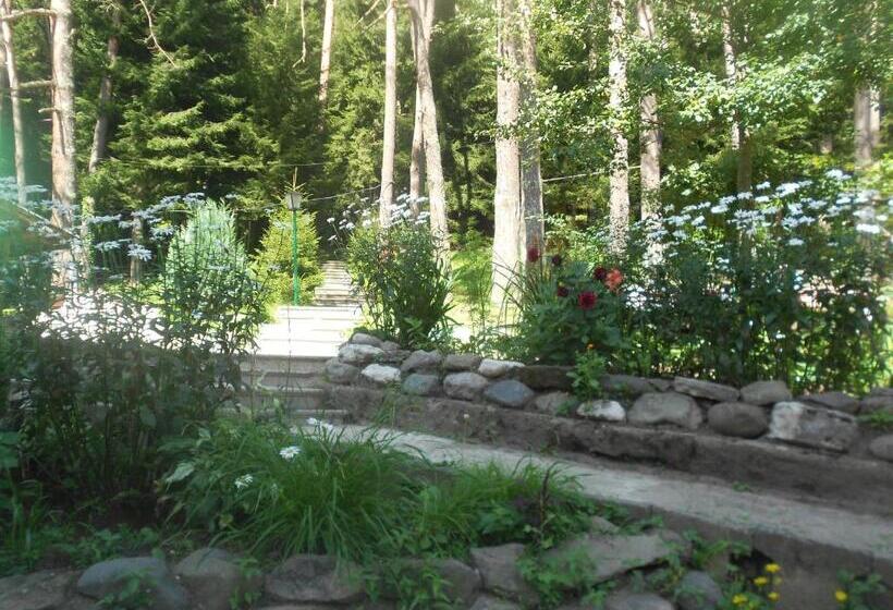 Nunisi Forest Hotel & Spa