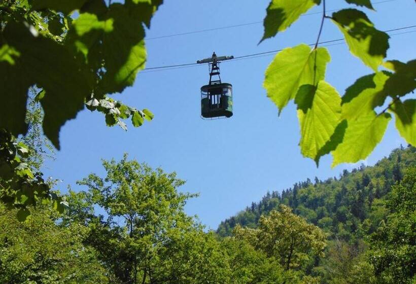 Nunisi Forest Hotel & Spa