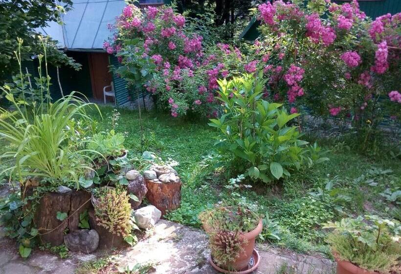 Nunisi Forest Hotel & Spa