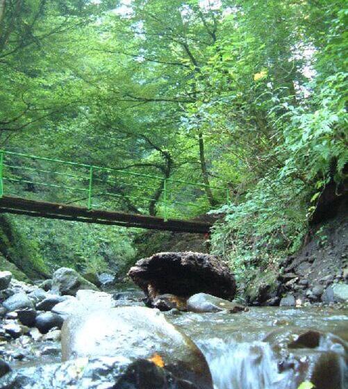 Nunisi Forest Hotel & Spa