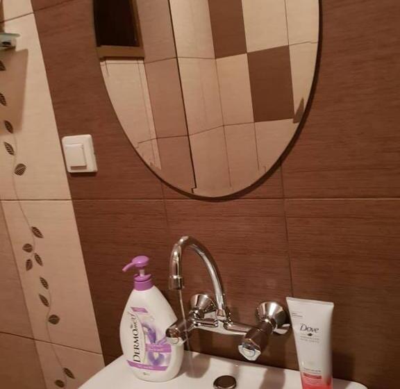 膳宿费 къщи за гости с. любовище