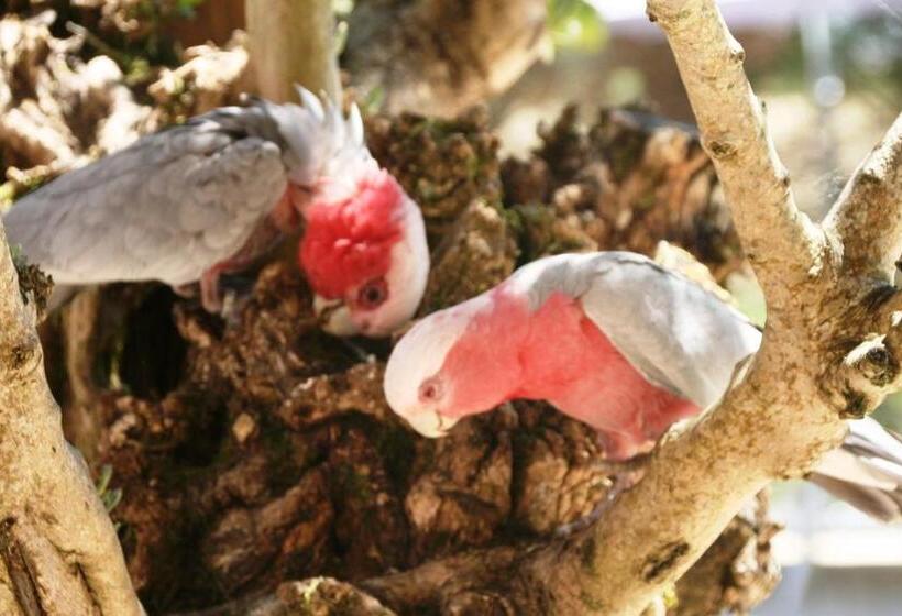 ペンション Chambres De Retour Aux Sources Connectees 1 Et 2