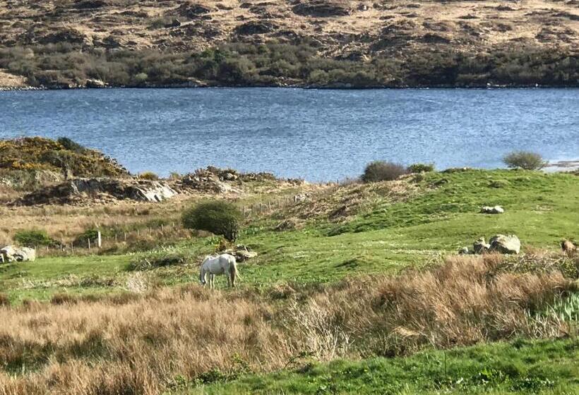 بنسيون Faul House