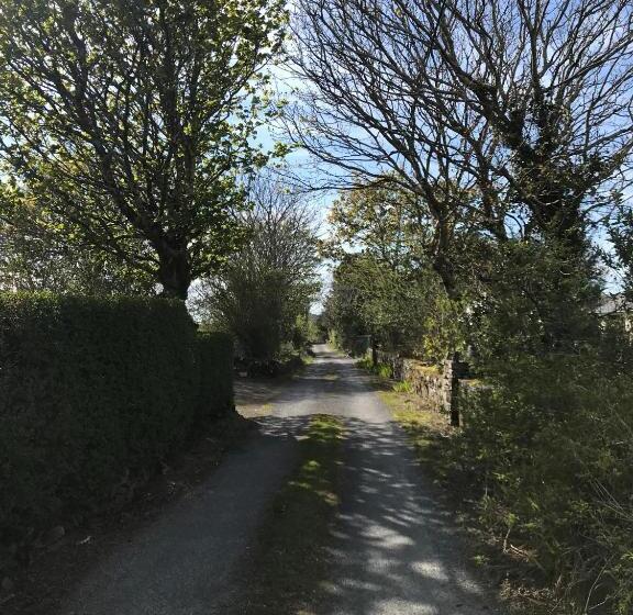 بنسيون Faul House