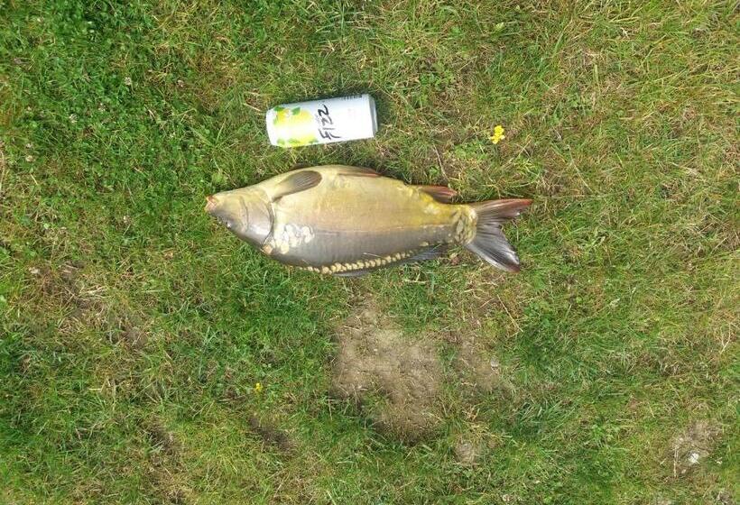 پانسیون Irvitos Sodyba