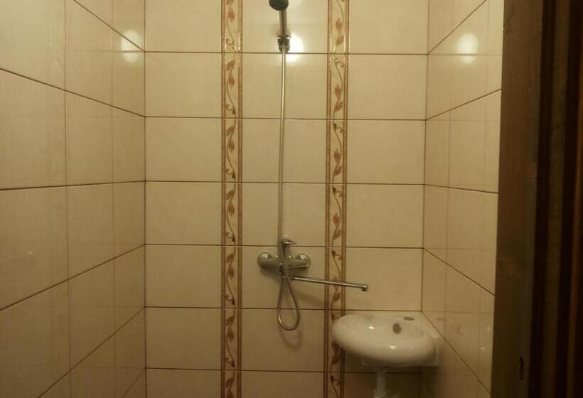 پانسیون Irvitos Sodyba