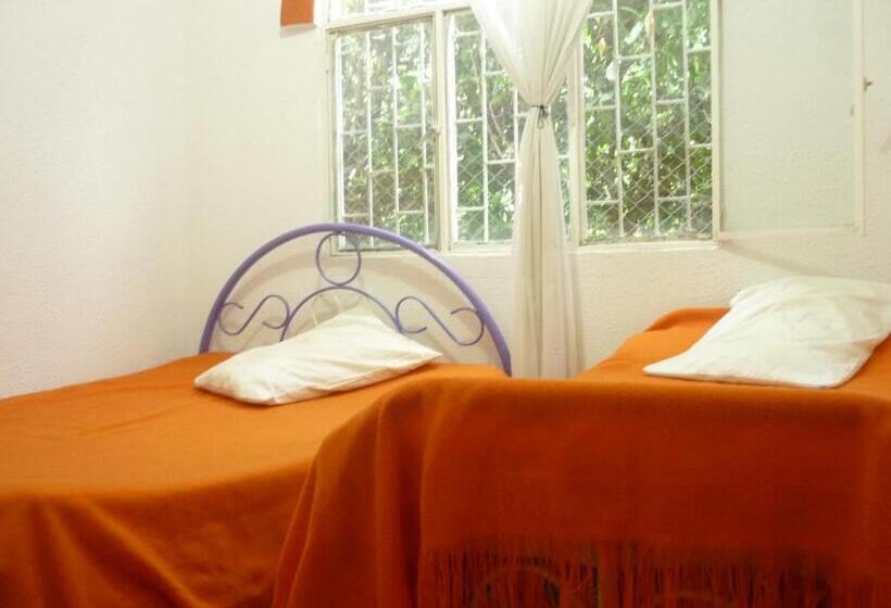 بنسيون Mandarina Hostal