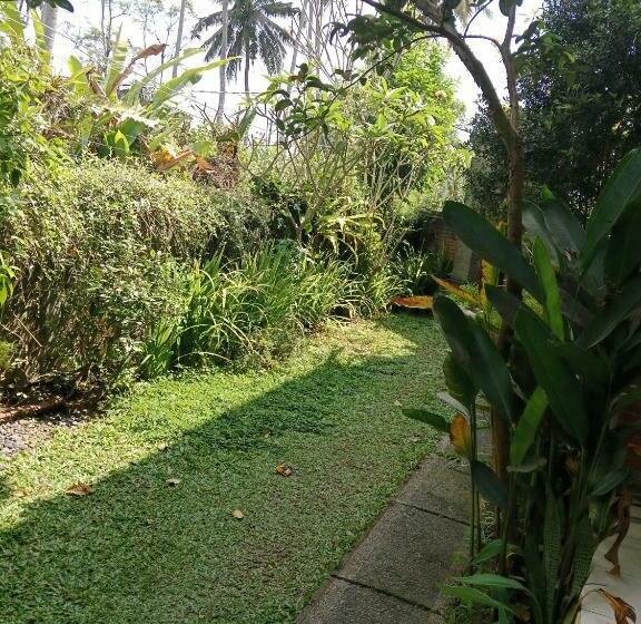 פנסיון Sunrise Coconut House