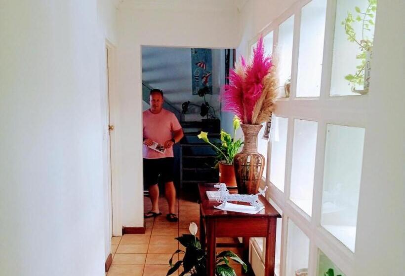 פנסיון Zagorski’s Bed And Breakfast