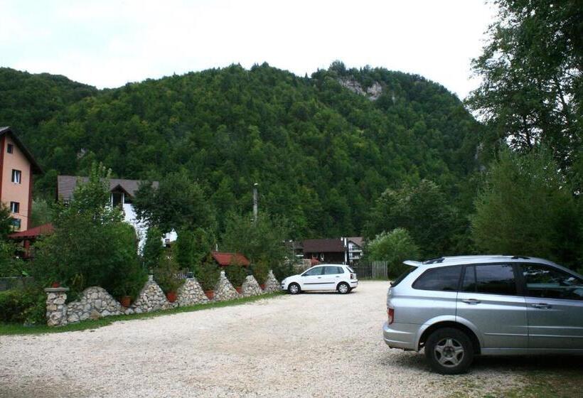 Pensiunea Ianis Moieciu