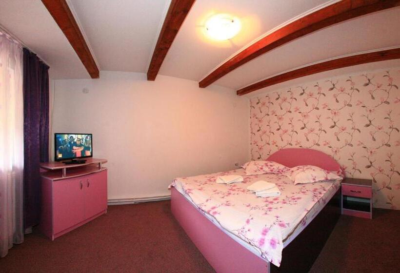 Pensiunea Ianis Moieciu