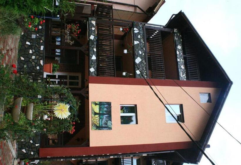 Pensiunea Ianis Moieciu