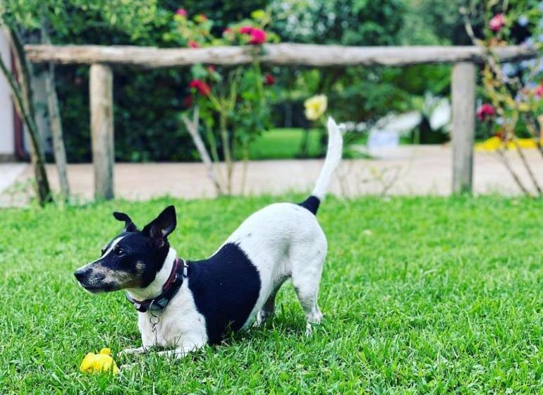 住宿加早餐  La Casa Rotta