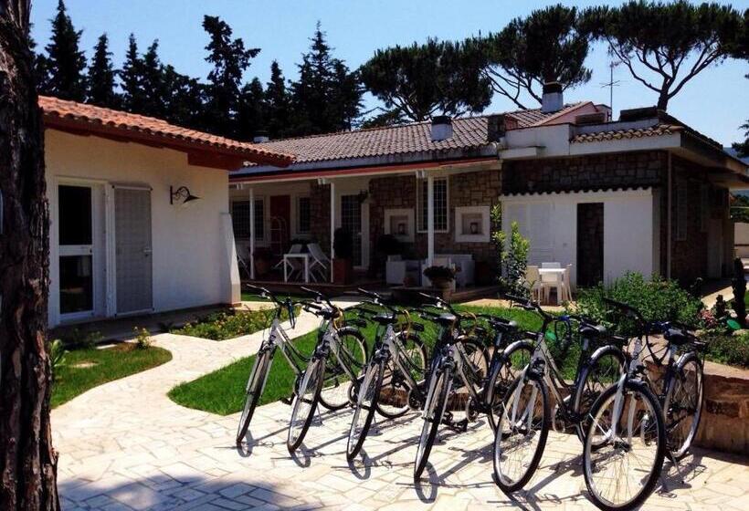 住宿加早餐  La Casa Rotta