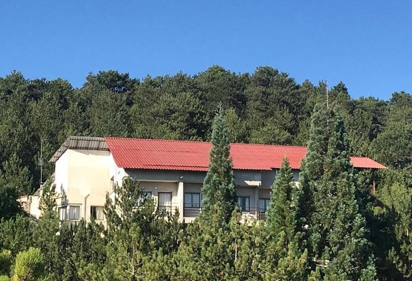 Health Habitat Hotel & Slimming Resort