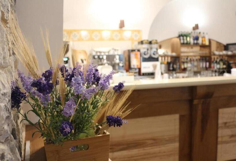 Historic Boutique Hotel Maccarunera