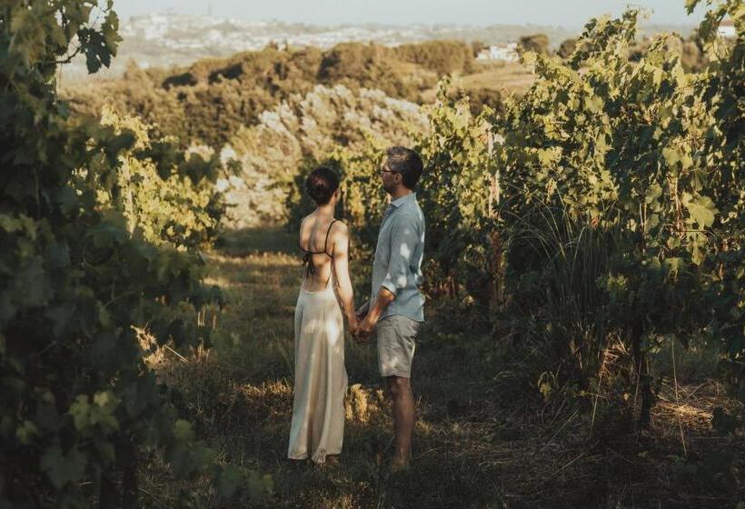 酒店 Agriturismo Terra Di Dio Toscanizzazione