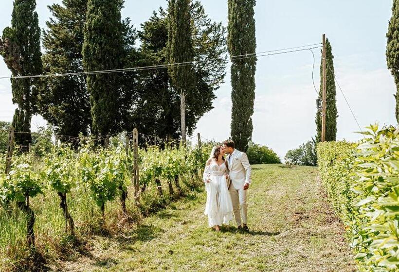 酒店 Agriturismo Terra Di Dio Toscanizzazione