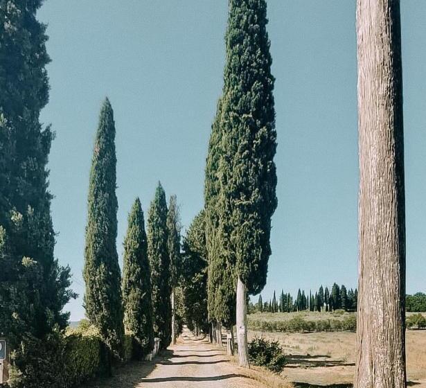 酒店 Agriturismo Terra Di Dio Toscanizzazione