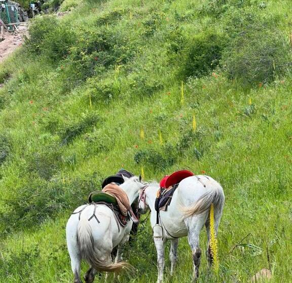 هتل Eco Resort Kara Bulak