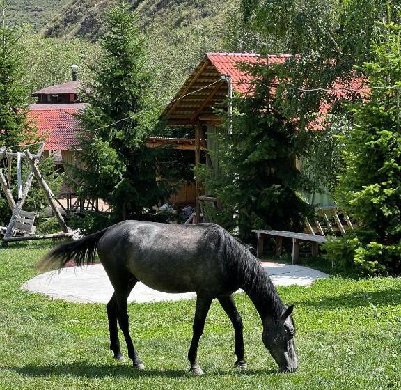 هتل Eco Resort Kara Bulak